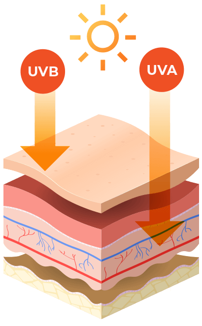 UV Index Diagram Image